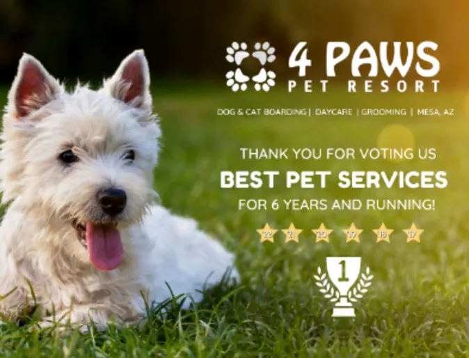 Mesa Tribune East Valley Best Pet Services 2022 Award Logo